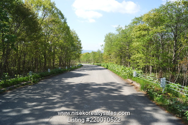 Looking southernly direction Niseko Annupuri land for sale.