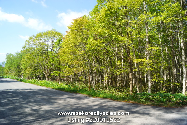 Niseko Annupuri Royal Town land for sale. Viewing in southerly direction showing road frontage.
