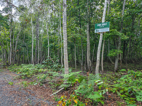 260010926, Annupuri-Moiwa Forest land forsale